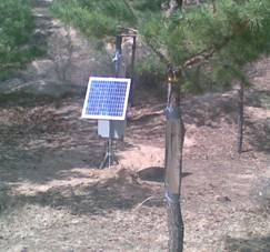 QT-2021插針式植物莖LIU系統